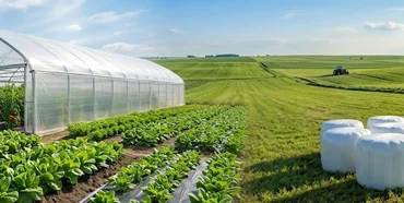 Greenhouse film and silage stretch film in American agriculture