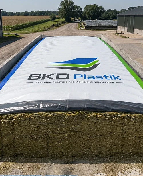 Clamp Silage
