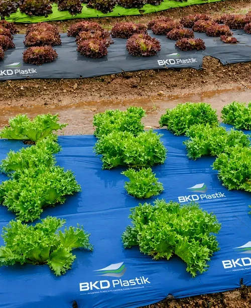 Mulch Film